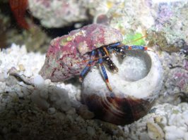 fishtank04.jpg