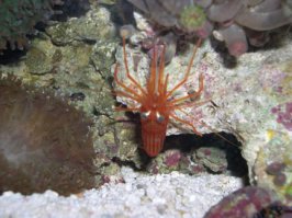 fishtank05.jpg