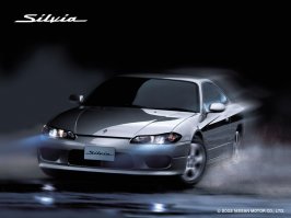 silvia.jpg