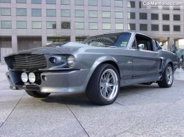 eleanor shelby.jpg
