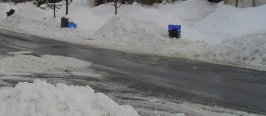 street.jpg