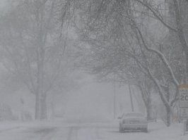 snowy street.jpg
