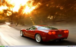 vette.jpg