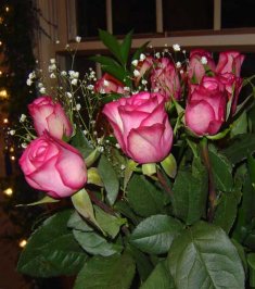 dsc01796.jpg