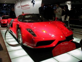 enzo.jpg