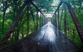 cartersville_harbin_bridge.jpg