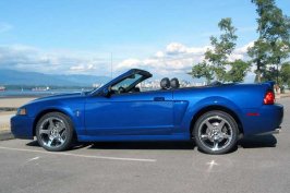mustang-cobra.jpg