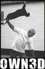 catowned2.jpg