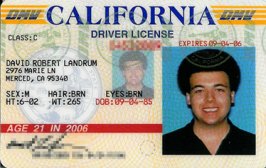 drivers license.jpg
