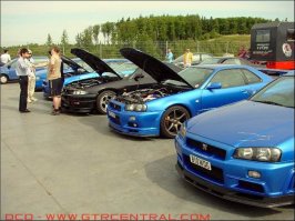 skyline (18).jpg