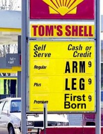 shell.jpg