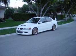 white 41.jpg