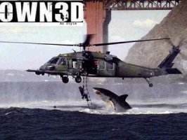 sharkhelicopter.jpg