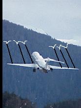 birdpower.jpg
