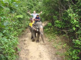 thai-10.jpg