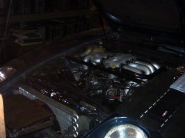 picture-233.jpg