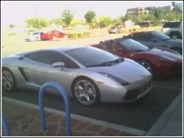 gallardo.jpg