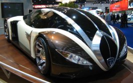 2003_fms_4002_1.jpg