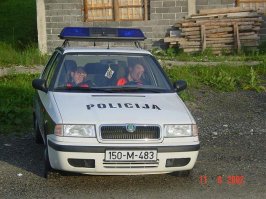 truepolicemen.jpg