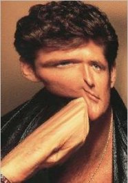 david.jpg