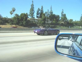 shelby on 210 s.jpg