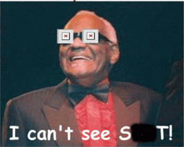 cantsee****.22.gif