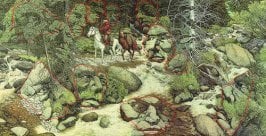 foresteyes.jpg