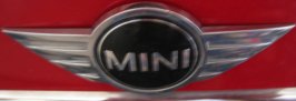 Mini 001_edited.jpg