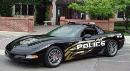 police1.jpg