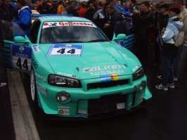 Falken1.jpg
