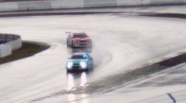 Falken2.jpg