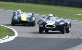 D-type Longnose2.jpg