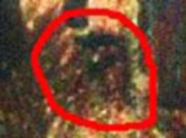 Bigfoot2.jpg
