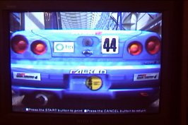 falken2.jpg