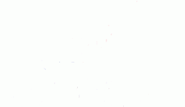GIFLOGOGT4.gif