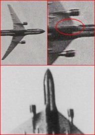 pic1.jpg