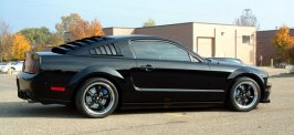 mustang.jpg