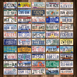 License plates.png