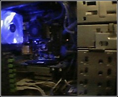 25733075074_235[1].jpg