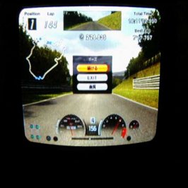 Endurance Race!.jpg