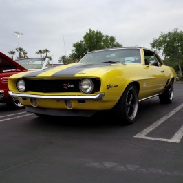 IMG_20150509_064405.jpg