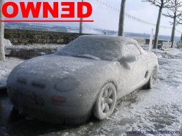 OWNED3.jpg