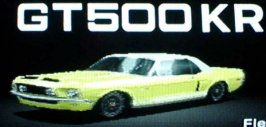 GT500KR(yellow)-1.jpg