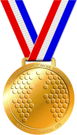 2.0 Gold Medal S02.png