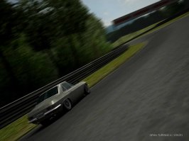IMG0081s.JPG