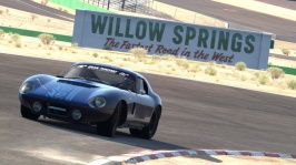 Willow Springs International Raceway_ Big Willow_3.jpg