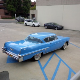 IMG_20150605_105708.jpg