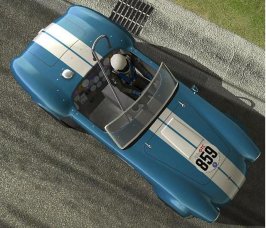 GTL cobra3.JPG