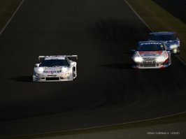 IMG0008.JPG