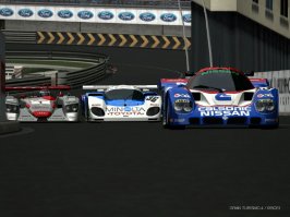 IMG0165.jpg